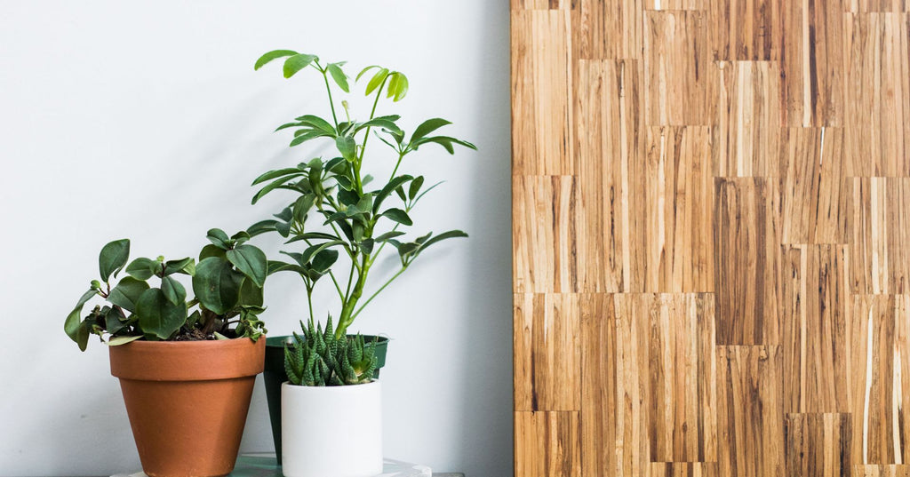 Designing Out the Green Premium