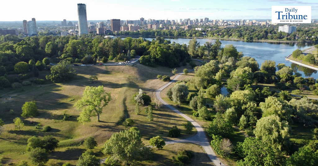 [As Seen on The Tribune] Sustainability Movement booms