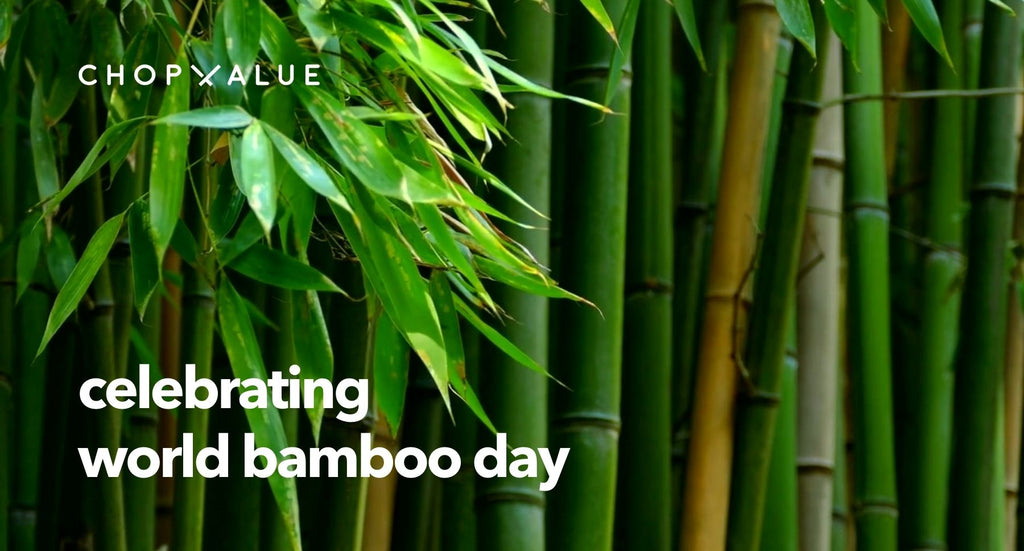 Why We're Obsessed with Recycling Bamboo